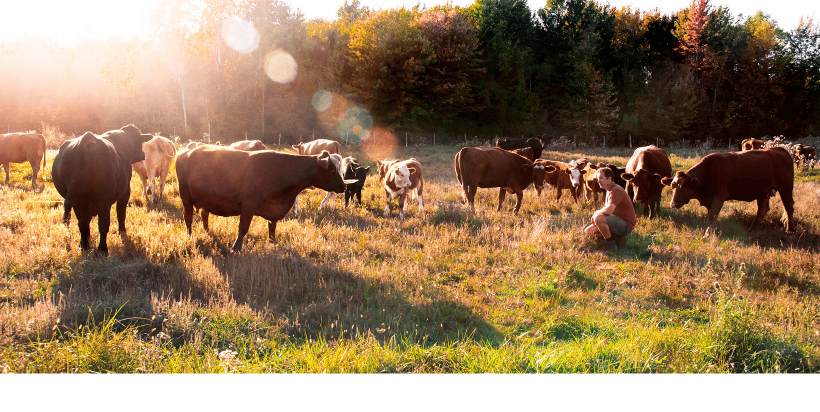 Contactez Les Fermes Valens